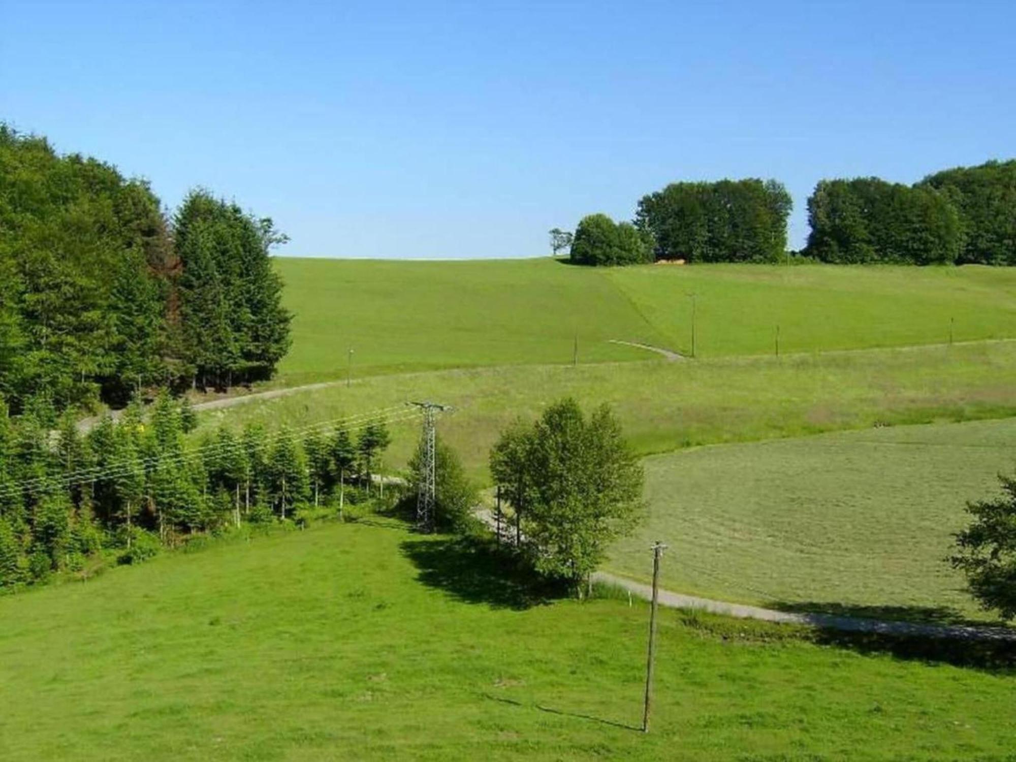 Charming Apartment In Regelsbach Near City Centre Schuttertal Zewnętrze zdjęcie